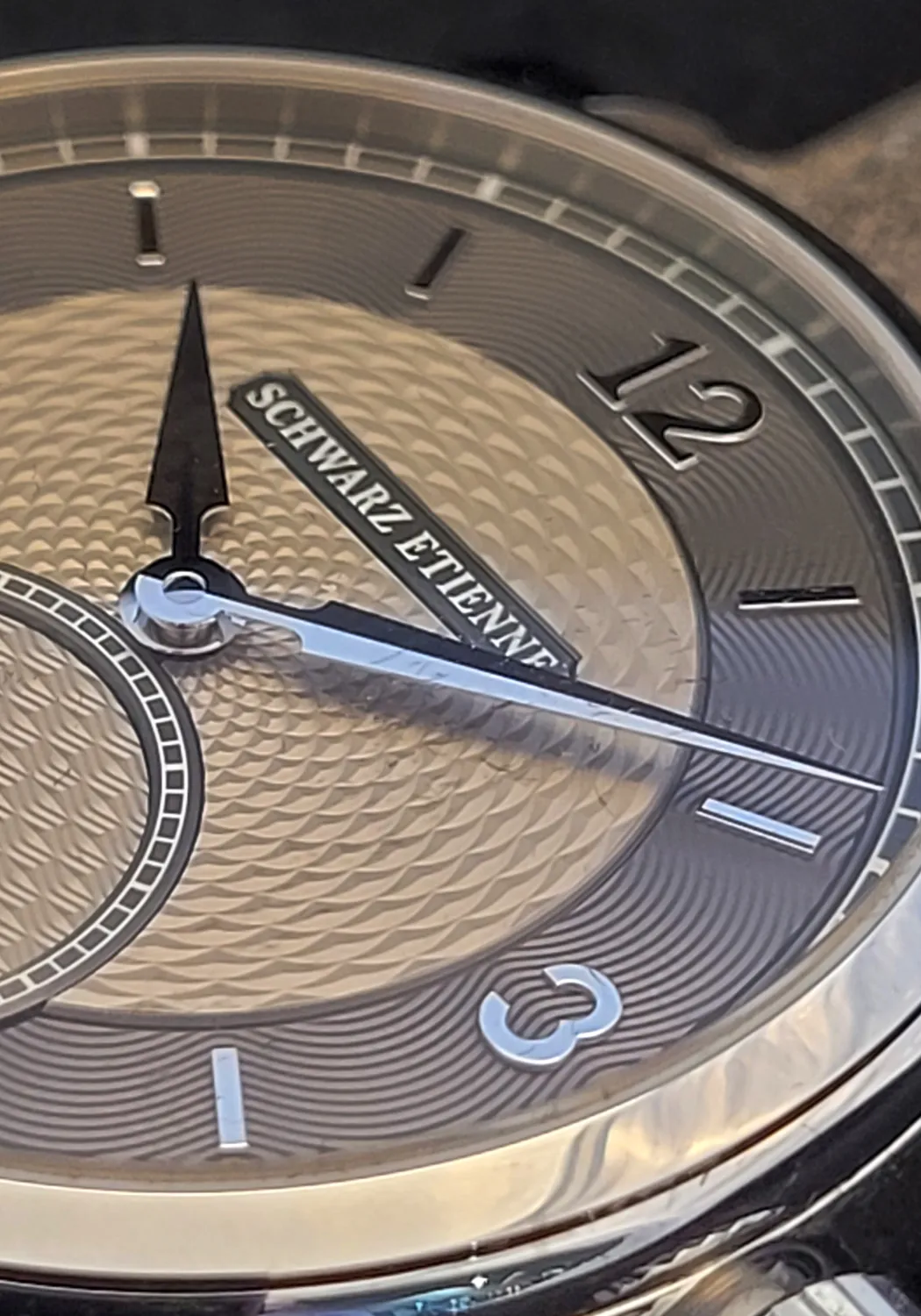 Schwarz Etienne Roma Synergy Grey Dial by Kari Voutilainen | LE50